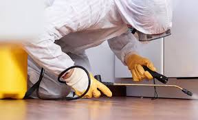 Best Pest Prevention Services  in Locust, NC